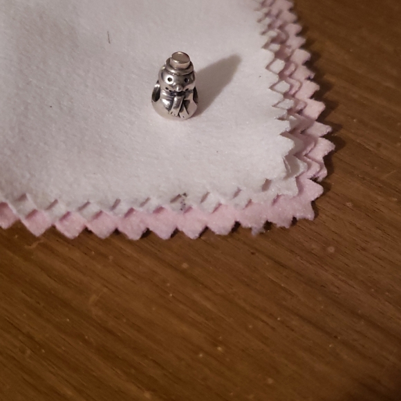 Pandora Jewelry - Pandora charm